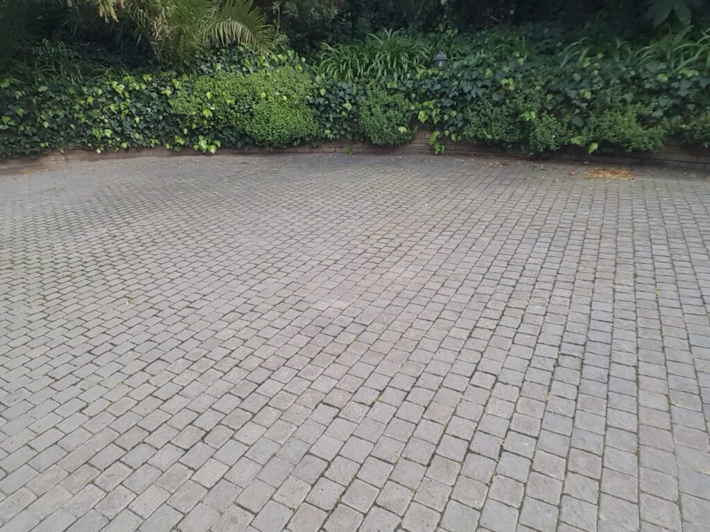 20230824_113358