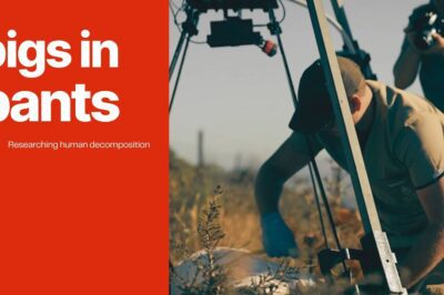 Pigs in pants: Researching human decomposition | Carte Blanche | M-Net
